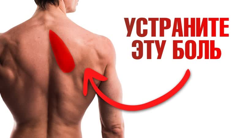 Болит ромбовидная мышца Как устранить боль под