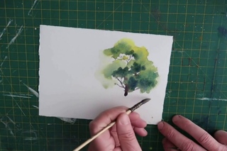 How To Paint A Simple Tree In Watercolour
