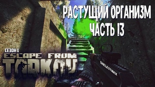 ТАРКОВ ПРОКАЧКА С НУЛЯ ЧАСТЬ 13 / РАСТУЩИЙ ОРГАНИЗМ ESCAPE FROM TARKOV