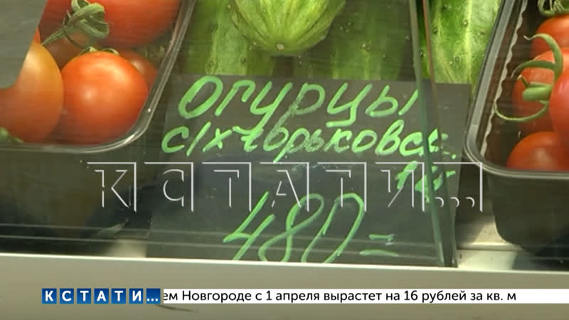 Поддельные огурцы по 500 рублей за килограмм появились в