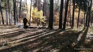 Накормили Найду и  спасли #лес от пожара ! Fed Naidu and saved #forest from fire