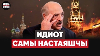 Лукашенко выругался матом. Москва в огне. Беларусь катится  в ад.