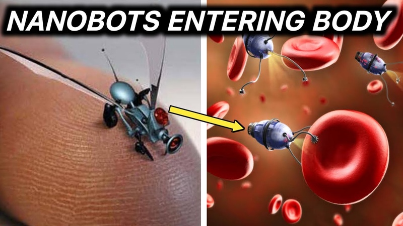 First Real Nano Bots Entering The