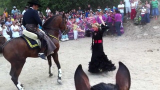romeria de zambra baile sevillanas con caballo 2012
