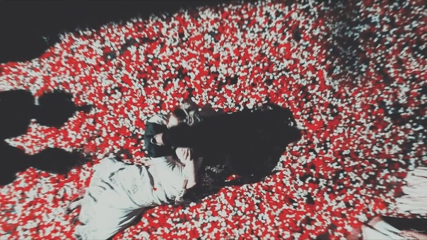 everlasting peace. (star crossd lovers.