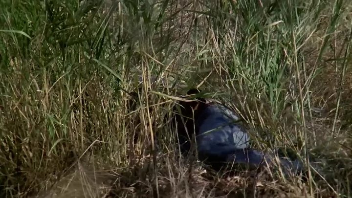 Violacion en el ultimo tren de la noche