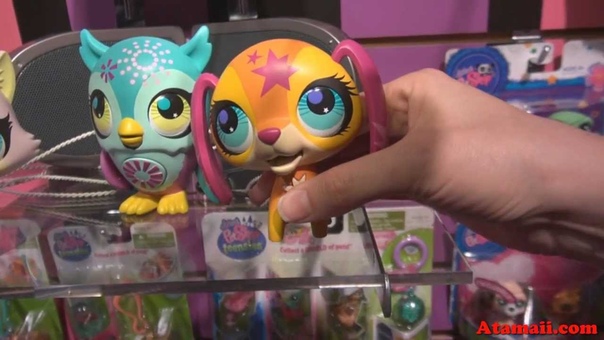 Littlest Pet Shop LPS with Blythe Dolls New York Toy Fair