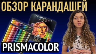 Обзор карандашей Prismacolor Premier. Чем я рисую и примеры работ