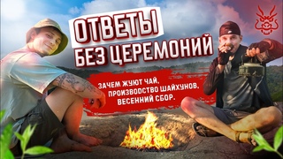 Чайные комментарии || Зачем жуют чай, производство шайхунов, весенний сбор