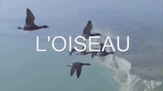 Ccile AUBRY - L' oiseau - par Andr PRIETO