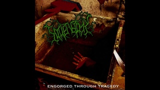 TOILETECTOMY - ENGORGED THROUGH TRAGEDY (FULL ALBUM)