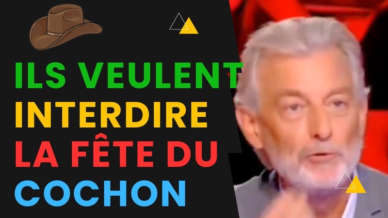 Maintenant, Si une Ville Organise une Fe te du Cochon, Cest de la