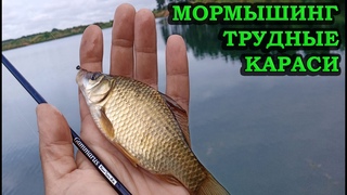 МОРМЫШИНГ. ТРУДНЫЕ КАРАСИ.