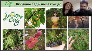 Редкие орехоплодные культуры в саду