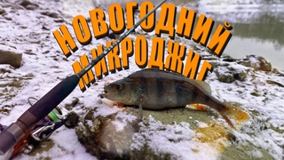 ПОСЛЕДНЯЯ РЫБАЛКА 2023 | МИКРОДЖИГ ЗИМОЙ В МОСКВЕ