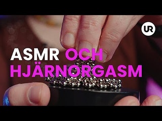 ASMR och hjrnorgasm - Sverige forskar