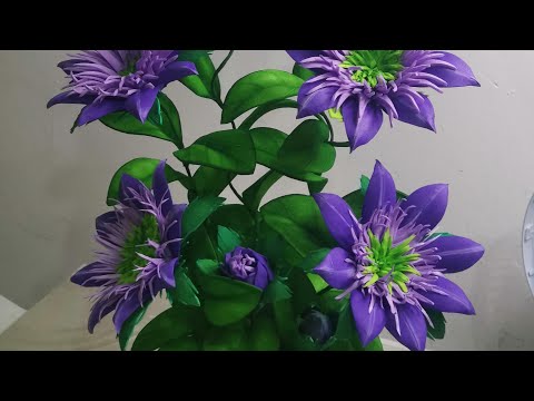 como fazer uma linda flor sem, frisador com nome clematis