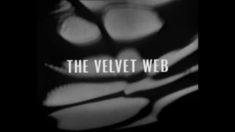 The Keys of Marinus (2, 6) The Velvet