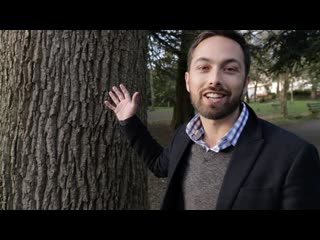 Why Trees Are Taller Than They Need To Be