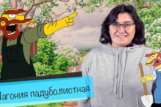 Магония падуболистная