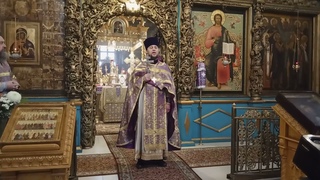 Слово о. Сергия Базанова в 5-ую неделю Великого поста. прп. Мария Египетская