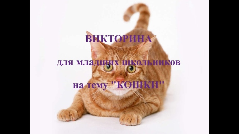 Викторина для школьников.