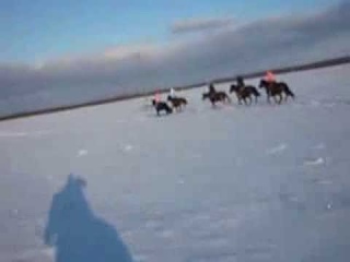 галоп в полях