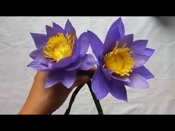 Paper Flowers Pro Diy, How to make water lily, Paper flower making, Origami