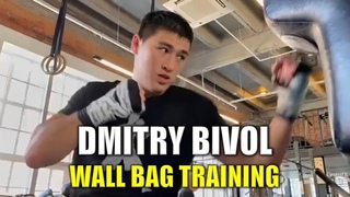 Dmitry Bivol Wall Bag Training