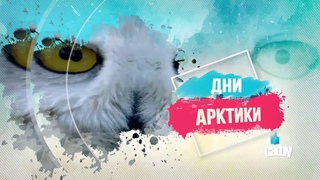В САФУ начались ДНИ АРКТИКИ