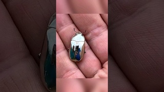 Металлический жук #shorts