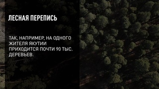 Лесная перепись в России