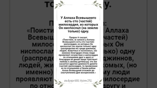 24 Рабиа-авваль - 9 октября, 2023 г. (1445 г. по хиджре)