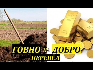 Ряска малая - выращивание, разведение, кормление кур и уток ряской.