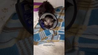 Нам осталось недолго…💔