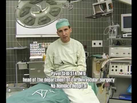 Synthetic Vascular