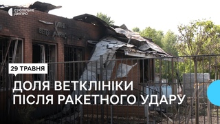 Першими рятували тварин: у ветклініці розповіли як пережили ракетний удар