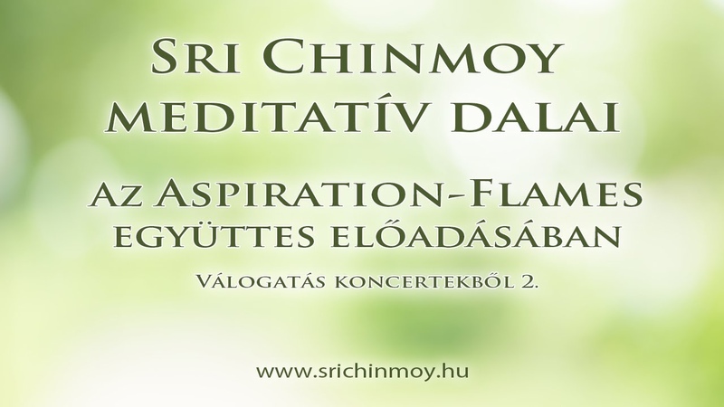 Aspiration Flames concert 2 I Sri Chinmoys music for meditation I Spiritual