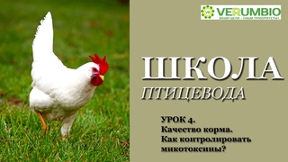 Почему важно контролировать чистоту и безопасность корма