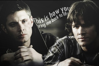 Sam & Dean | Bring me back to life