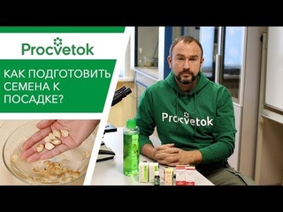 Как подготовить семена к посадке Ответы на вопросы