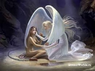 Шугайло А.В. Мудрость вечной жизни. Wisdom of eternal life.