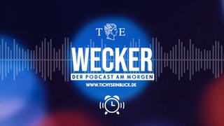 Pressefreiheit: Steinhfel gewinnt wieder gegen Faeser - TE Wecker am 22 10 2024