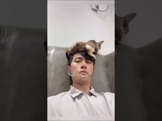 какие же коты смешные всё-таки