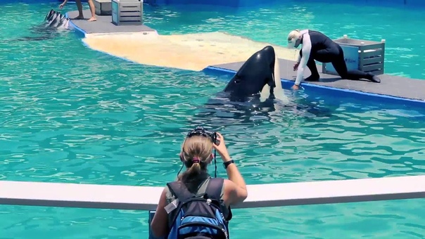 A Day in the Life of Lolita, the Performing