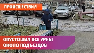 Расхититель мусорок. В Башкирии неизвестный раскидал содержимое четырех урн