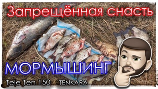 Мормышинг в нерестовый запрет. TELE TEN 150. Тенкара.