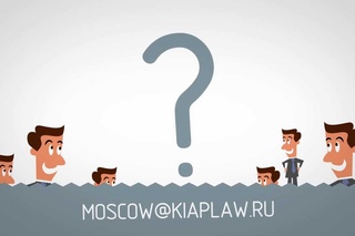 Как устроены юристы