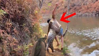 Jaguar attacks a man riding on his horse!!!