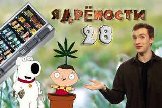 Ядрености 28 - Благотворительность, автомат и воришки-неудачники